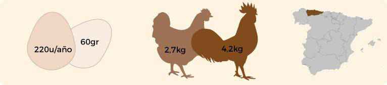 Peso y origen de las gallinas Pita Pinta