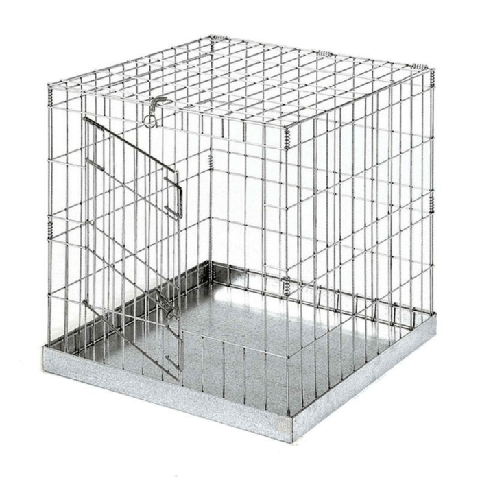 jaula de exposición para gallinas y gallos con puerta