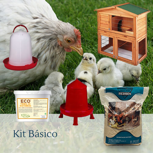 Pack básico: Productos Tu gallina online.