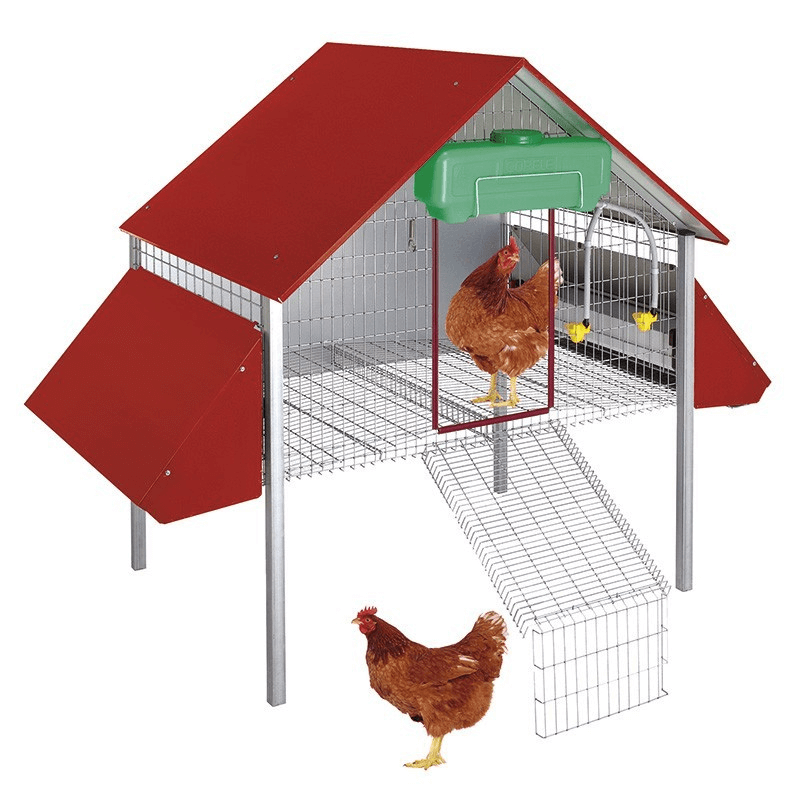Gallinero exterior de madera para jaula de pollos