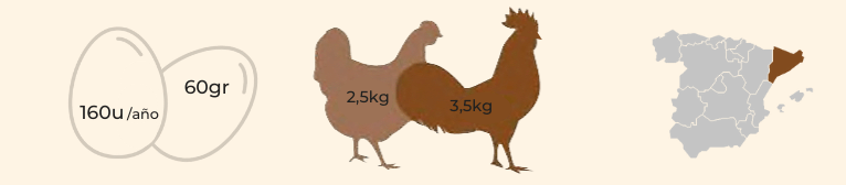 características gallina raza Vilafranquina