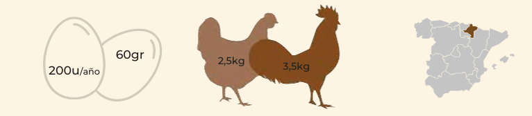 características gallina marradune vasca