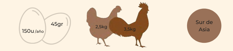 características gallina raza rizada