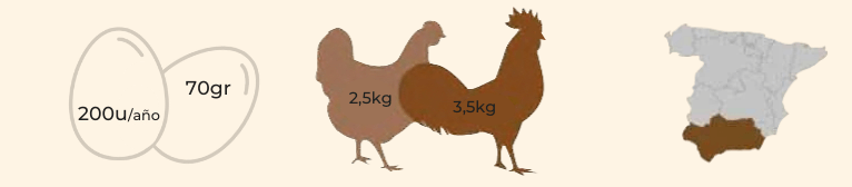 características raza gallina sureña perla