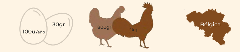 características raza gallina ucles