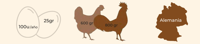 característica raza gallina enana fénix