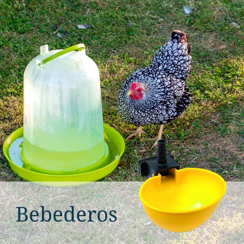 Bebederos